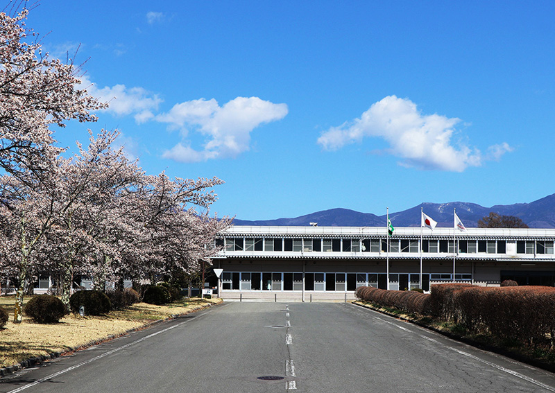 宮坂ゴム 社歴